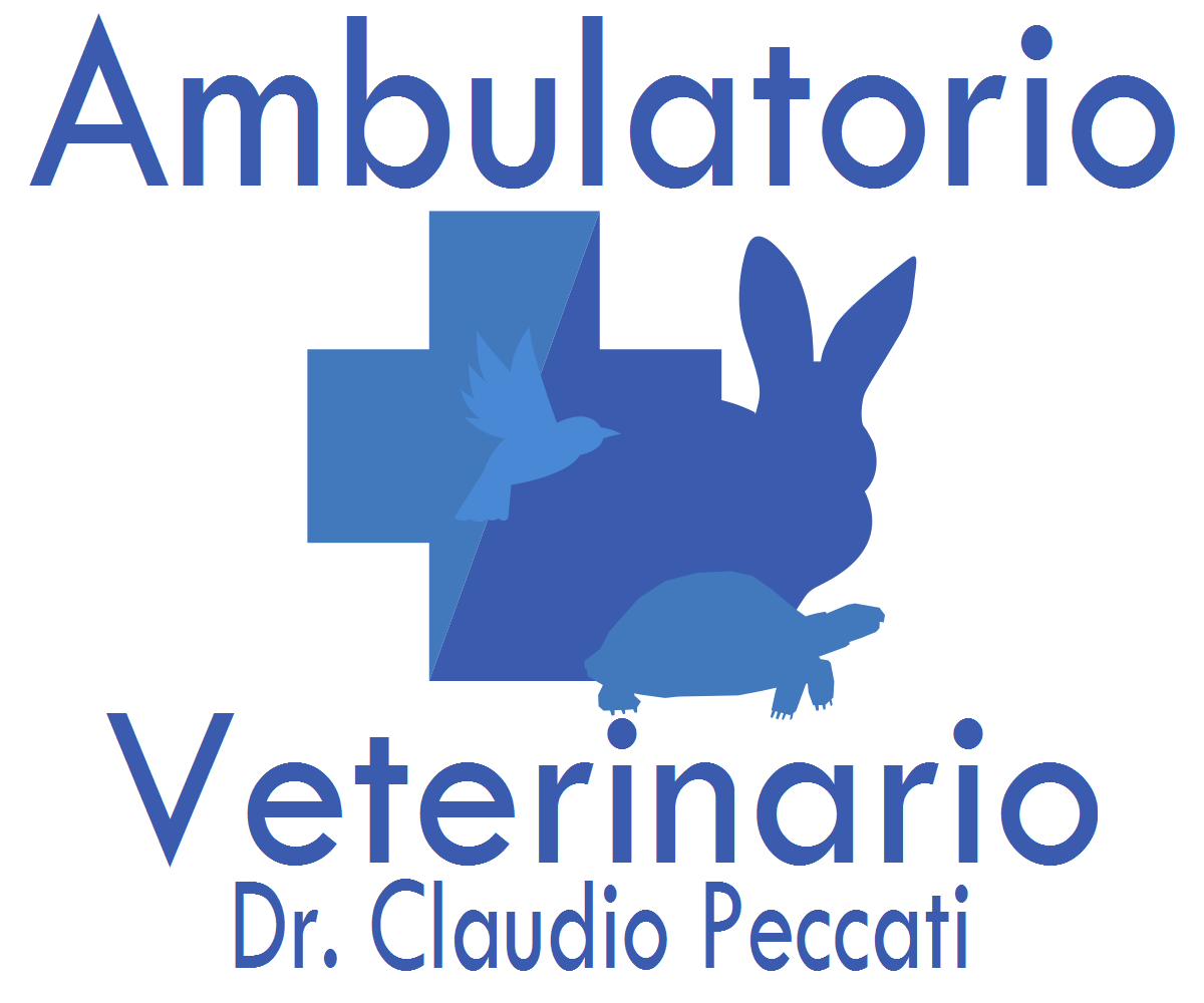 1 sveglio alle 7 Logo